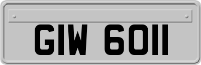 GIW6011