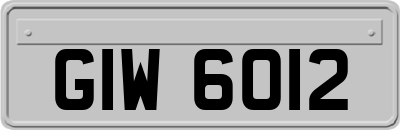 GIW6012