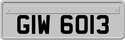 GIW6013
