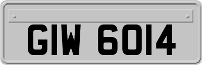 GIW6014