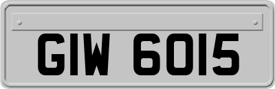 GIW6015