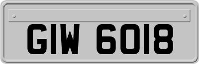 GIW6018