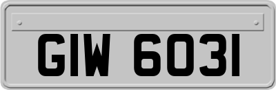 GIW6031