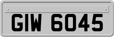 GIW6045