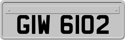 GIW6102