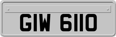 GIW6110
