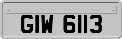GIW6113