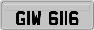 GIW6116