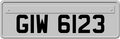 GIW6123