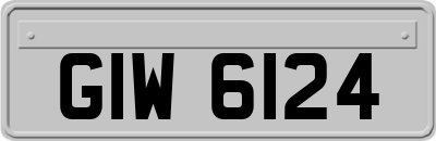 GIW6124