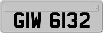 GIW6132