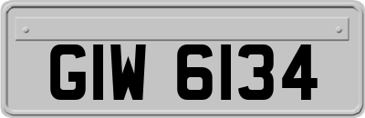 GIW6134