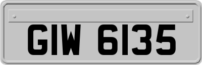 GIW6135