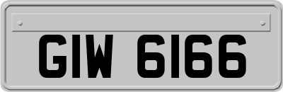 GIW6166
