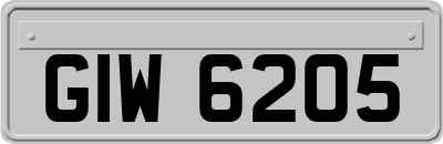 GIW6205
