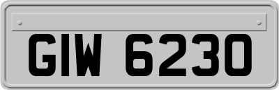 GIW6230
