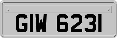 GIW6231