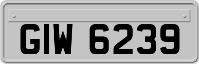 GIW6239