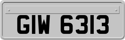 GIW6313