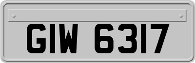 GIW6317
