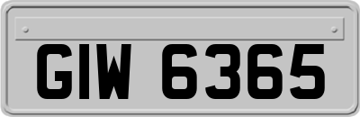 GIW6365