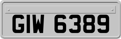 GIW6389