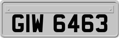 GIW6463