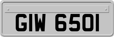GIW6501