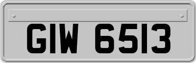 GIW6513