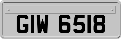 GIW6518