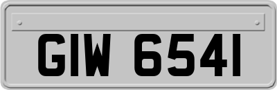 GIW6541