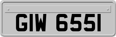 GIW6551