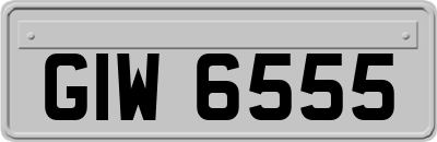 GIW6555