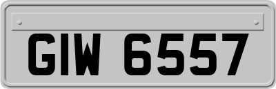 GIW6557