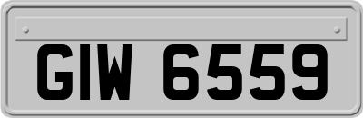 GIW6559
