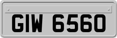 GIW6560