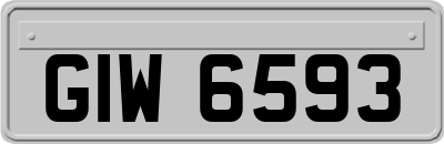GIW6593