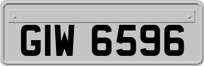 GIW6596