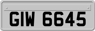GIW6645