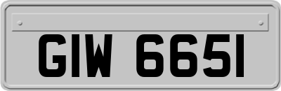 GIW6651