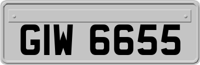 GIW6655