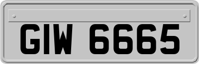 GIW6665