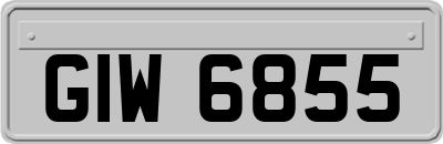 GIW6855