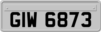 GIW6873