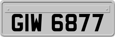 GIW6877