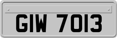 GIW7013