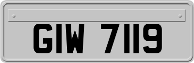 GIW7119