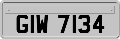GIW7134