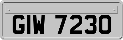 GIW7230