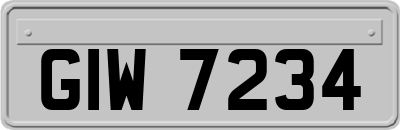 GIW7234